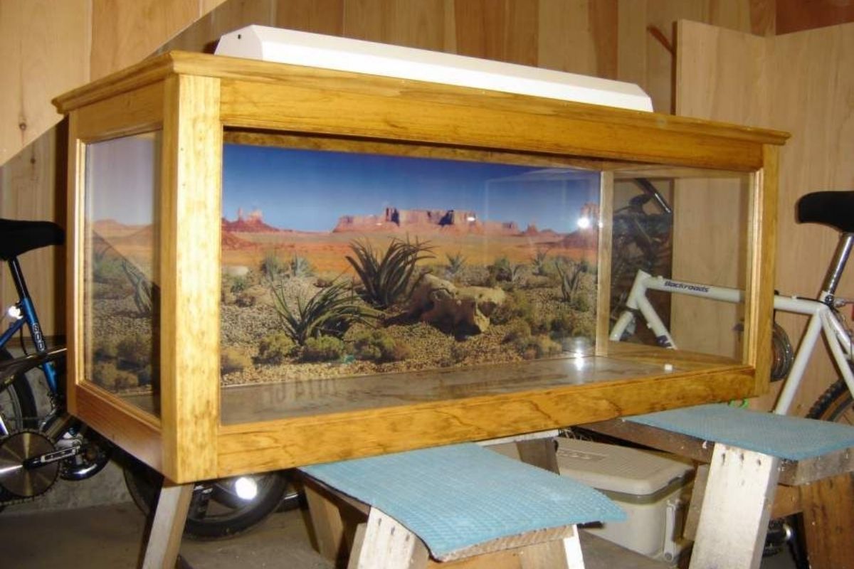 How To Build A Bearded Dragon Cage Out Of Wood BuildEazy
