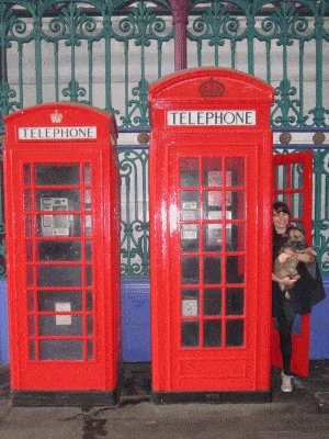 PRINTED REPRODUCTION CAN BE LAMINATED K6 RED TELEPHONE BOX FULL SIZE INTERIOR 