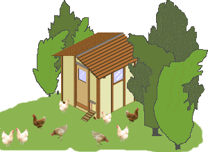 chicken coop