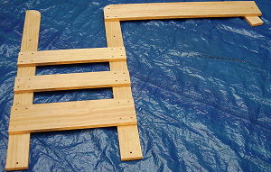 bunk ladder