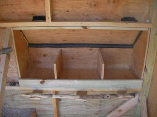 Chicken Coop Free Plans Drawings And Step By Step