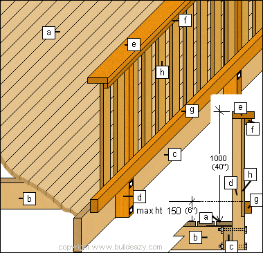 handrail anatomy